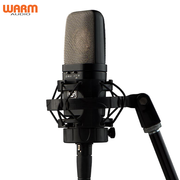 Micro thu âm chuyên nghiệp đỉnh cao Warm  WA 14 Condenser Microphone
