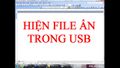 Cách hiện file ẩn trong USB
