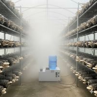 Những điều cần biết khi mua Máy tạo ẩm nhà nấm