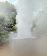 Tại sao phải dùng Máy tạo ẩm công nghiệp nhà yến, Lợi ích cụ thể của máy tạo ẩm cho nhà yến là gì ?