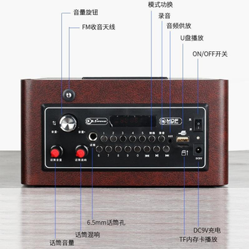 Loa bluetooth karaoke A061 - Tặng micro không dây