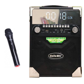 Loa di động xách tay karaoke Daile S17 - LCD Light ấn tượng