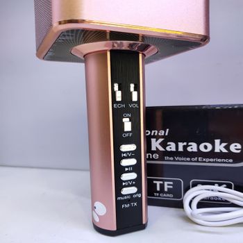 Micro karaoke kèm loa bluetooth SD-19 cao cấp