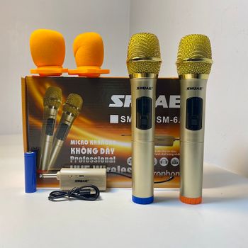 Mic Hát Karaoke không dây SM 6.6