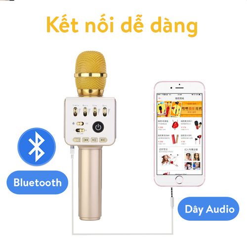 Micro Bluetooth hát Karaoke Tuxun ZP11