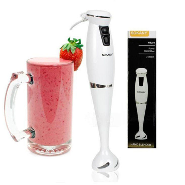 máy xay mini giá rẻ