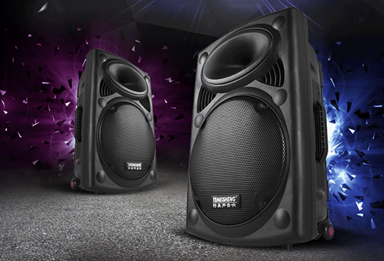 Loa vali kéo giá rẻ DP2305L 4 tấc.