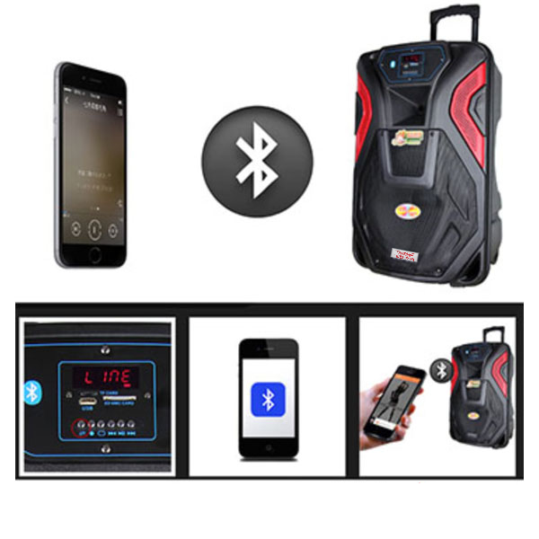 Loa kéo di động FEIYANG SL 15-03