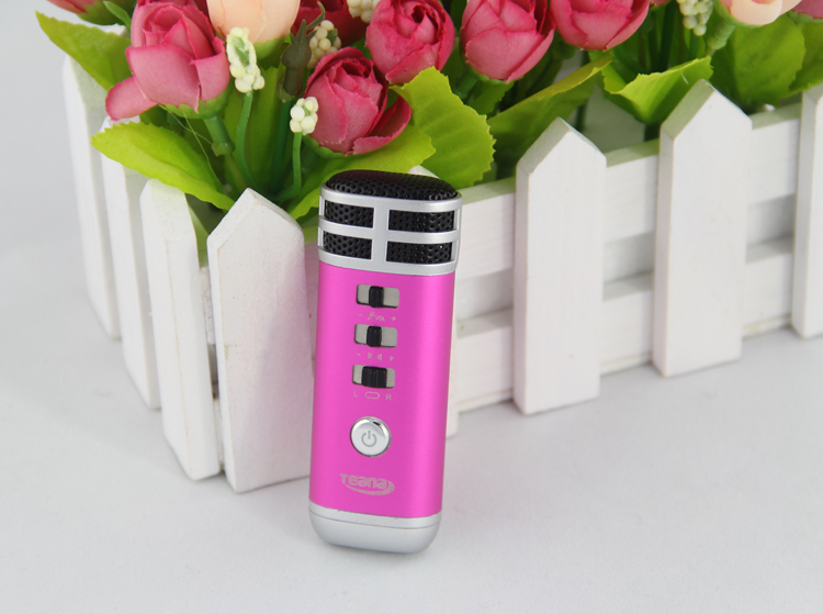 Mic hát karaoke Micro mini Teana I9S