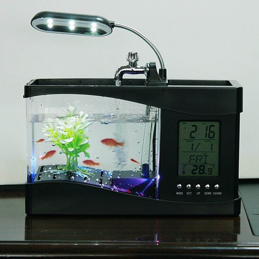 Bể cá mini phong thủy để bàn