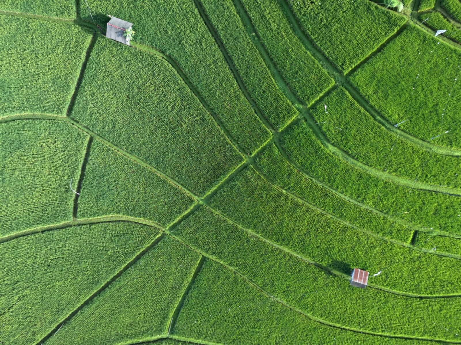 Flycam DJI Mavic Air.jpg