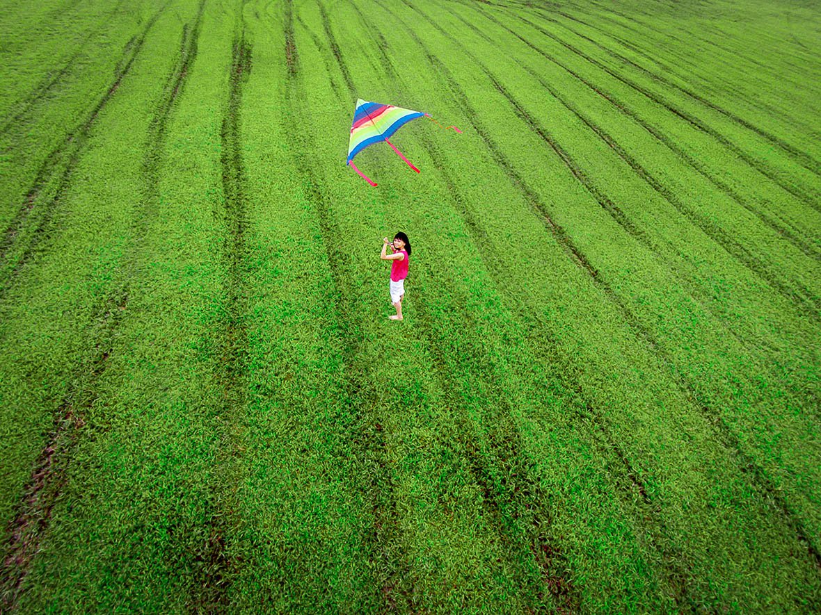 Flycam Phantom 3 Standard.jpg