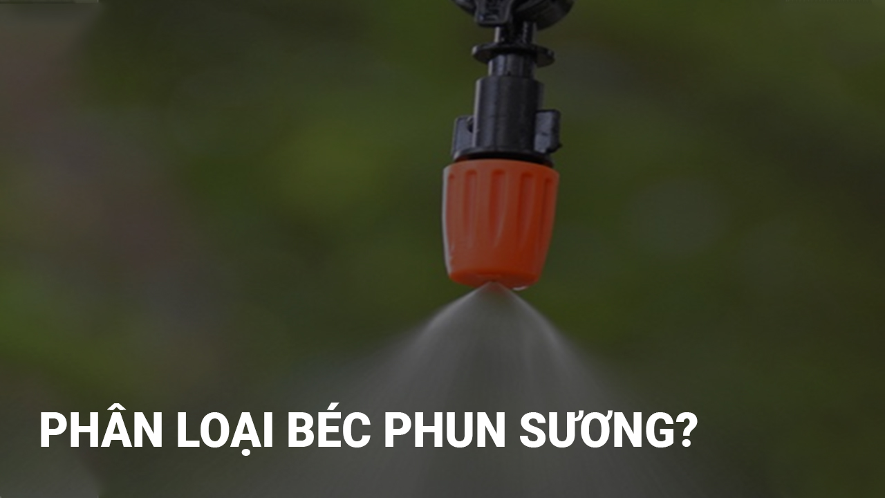 Phân loại béc phun sương có mặt hiện nay trên thị trường và hướng dẫn cách chọn mua