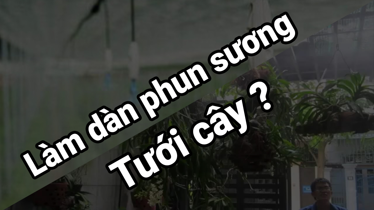 Hướng dẫn làm hệ thống dàn phun sương tưới cây tự động cho hệ thống thủy canh ngay tại nhà