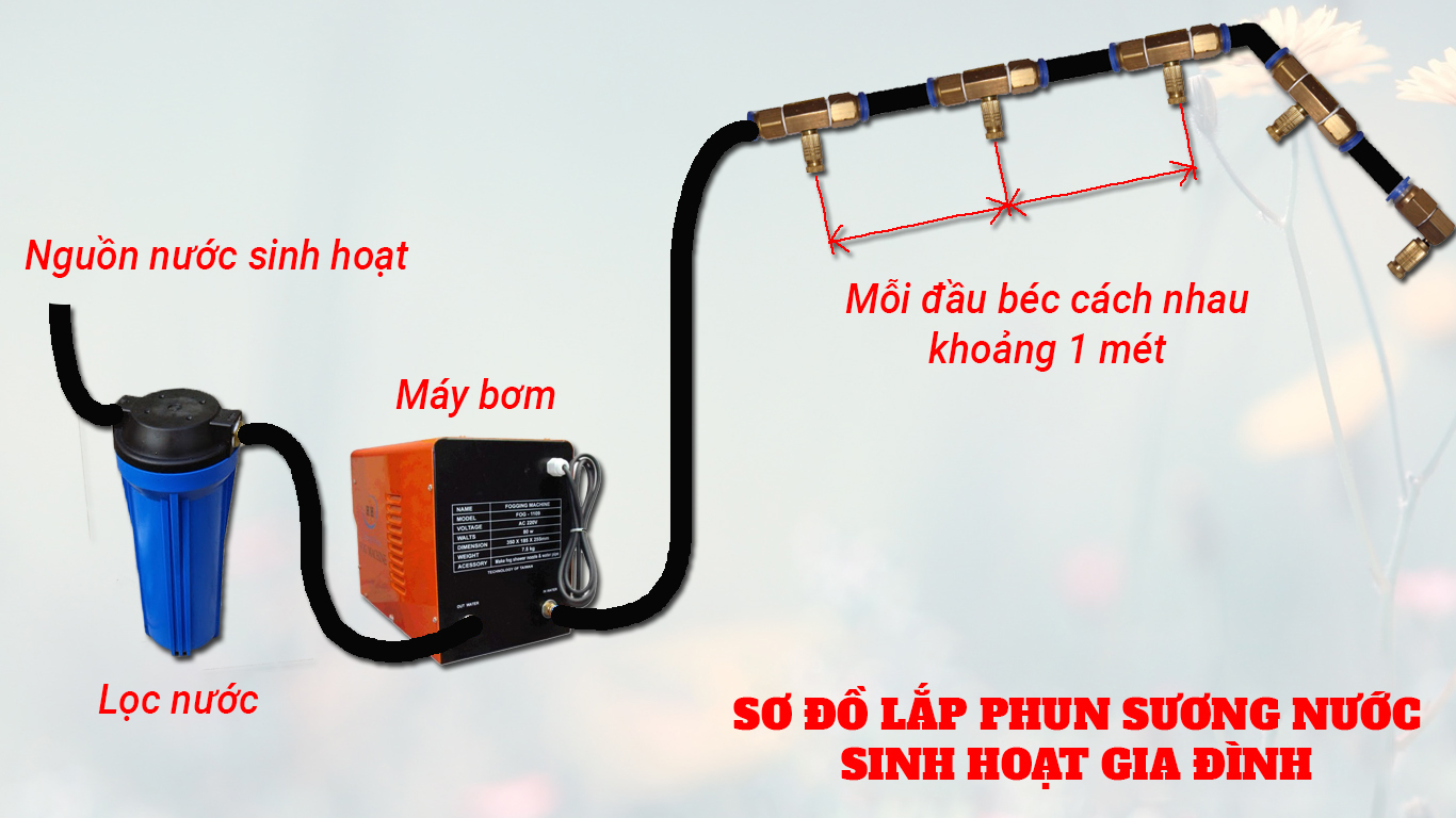 9966sdf35.jpg
