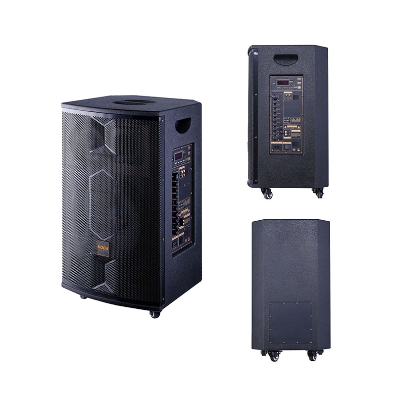 Loa cao cấp KODA KD-10V chính hãng