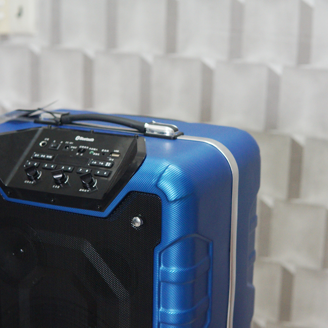 Loa xách tay karaoke di động Daile S12 công suất khủng 800W - Tặng micro không dây