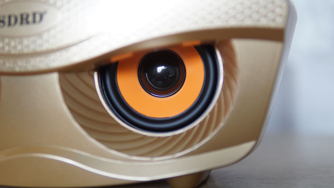 loa hat karaoke sd306.jpg