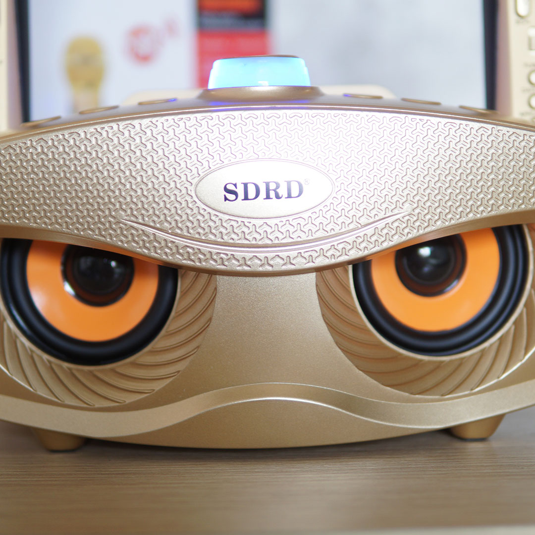 Bộ micro bluetooth kiêm loa rời SD306 (Cú vọ)- Âm thanh nổi Stereo 3D rất ấn tượng