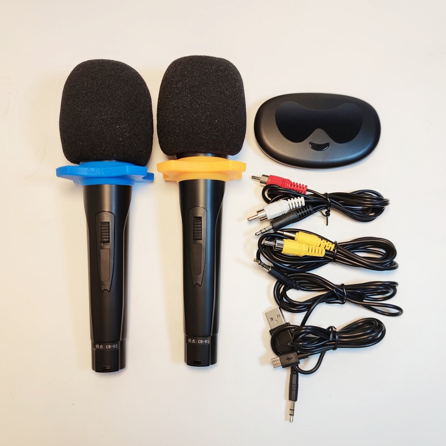 Bộ 2 micro karaoke không dây Professional Wireless - MU 108