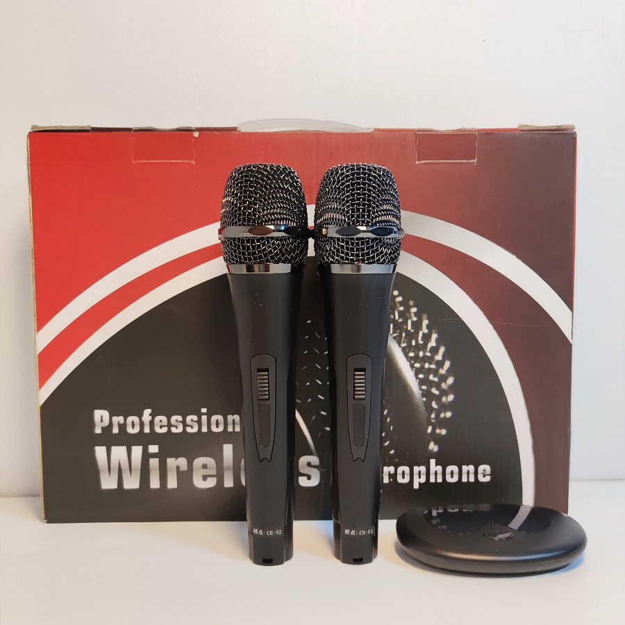Bộ 2 micro karaoke không dây Professional Wireless - MU 108