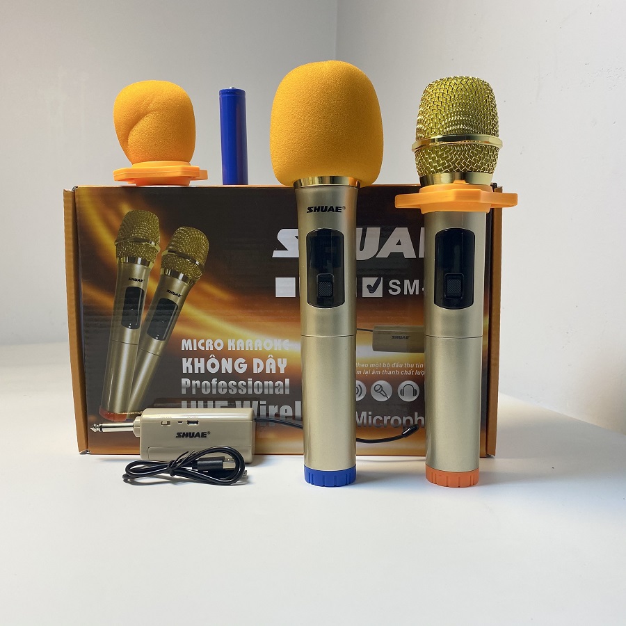 Mic Hát Karaoke không dây SM 6.6