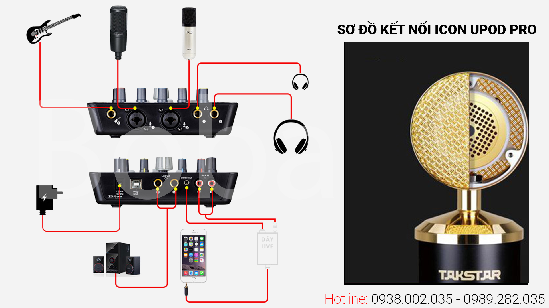 k8202.jpg