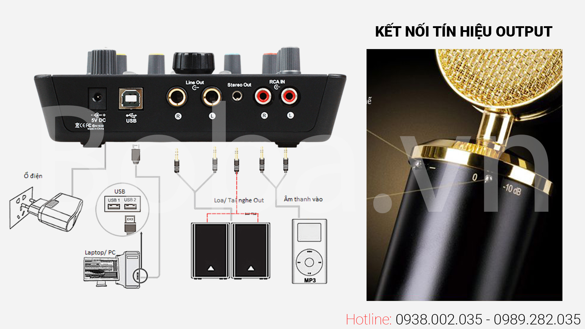k8204.jpg