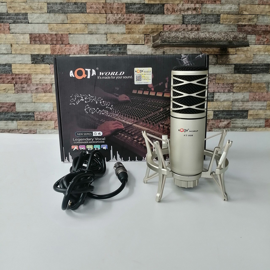 Mic thu âm chuyên nghiệp AT-808