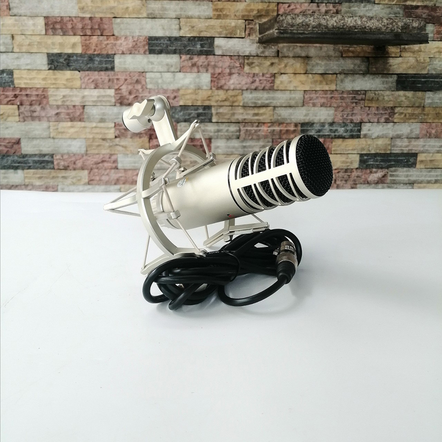 Mic thu âm chuyên nghiệp AT-808