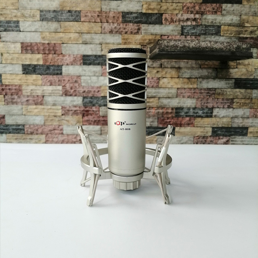 Mic thu âm chuyên nghiệp AT-808