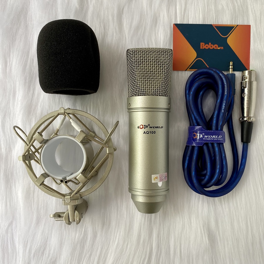 Micro thu âm chuyên nghiệp AQTA AQ-100