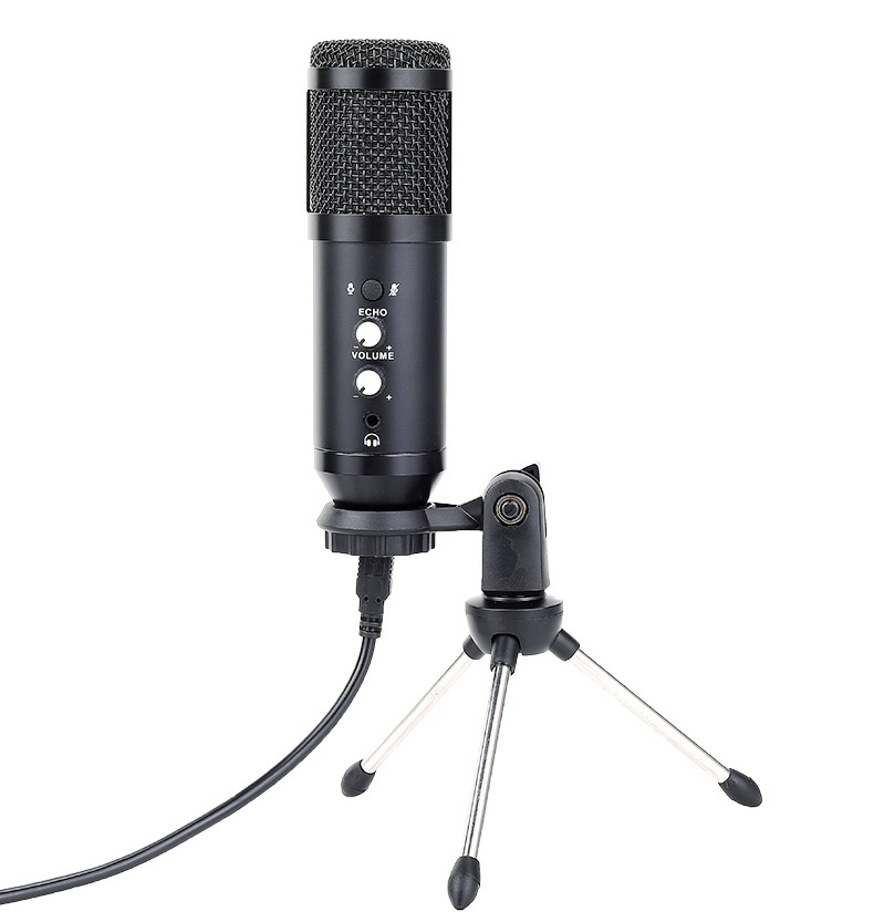 03-mic-thu-am.jpg