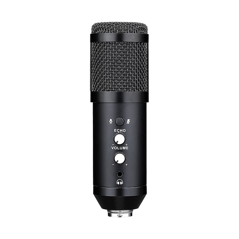 04-mic-thu-am.jpg
