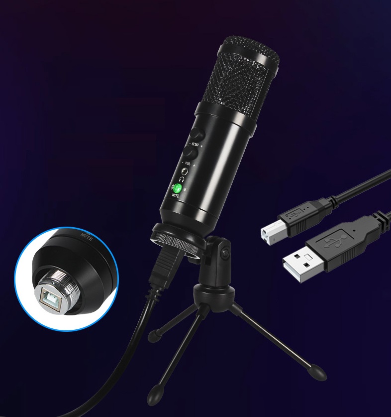 06-mic-thu-am.jpg