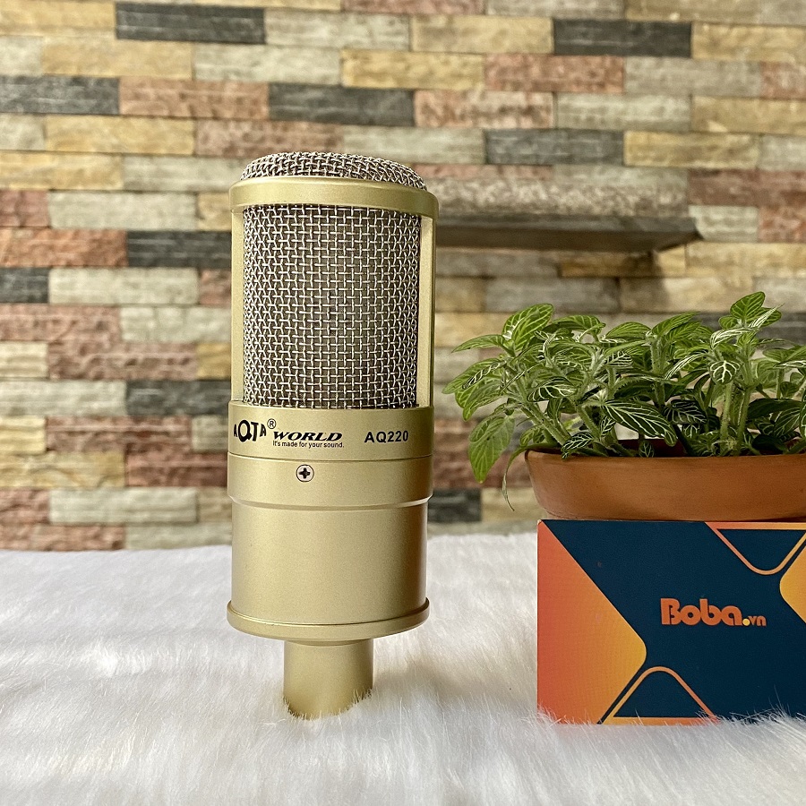 Micro thu âm AQTA 220 - 5V Condenser