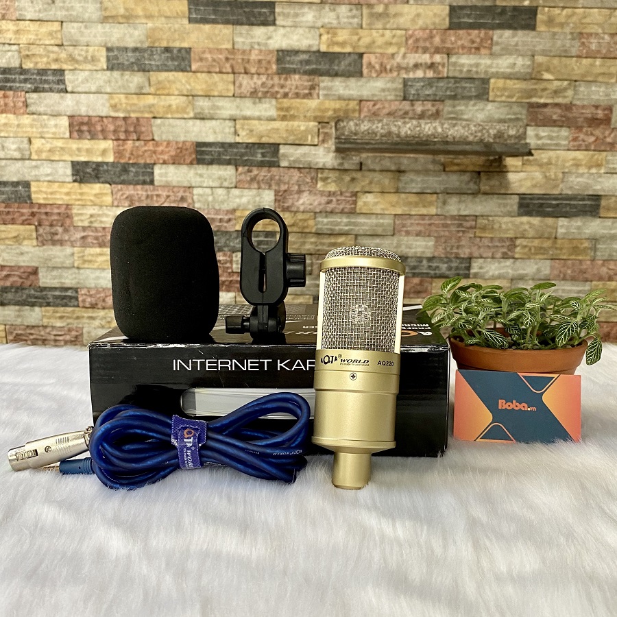 Micro thu âm AQTA 220 - 5V Condenser