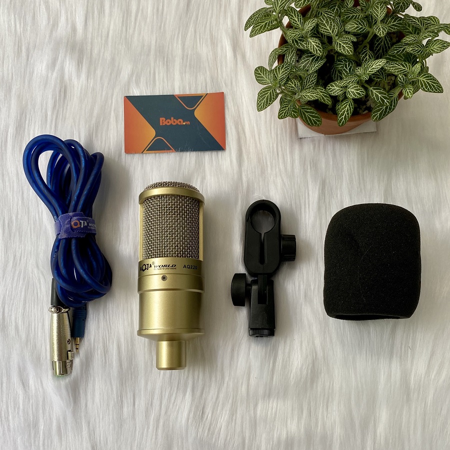 Micro thu âm AQTA 220 - 5V Condenser