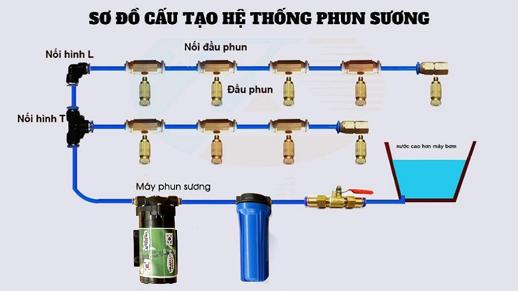 sodolapphu.jpg