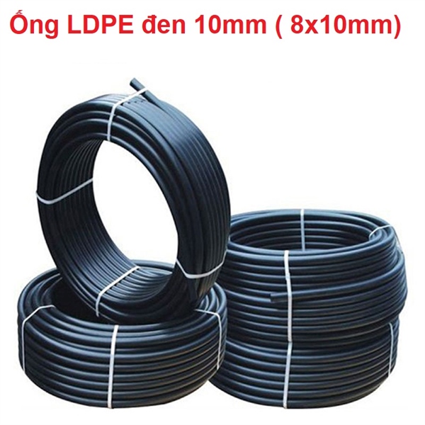 sp91000060.jpg