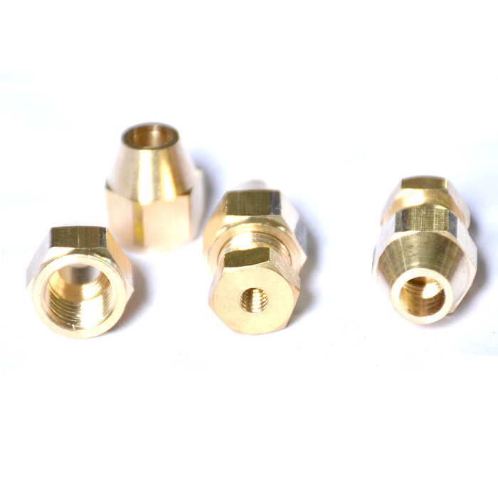 Đế cuối và tán đồng