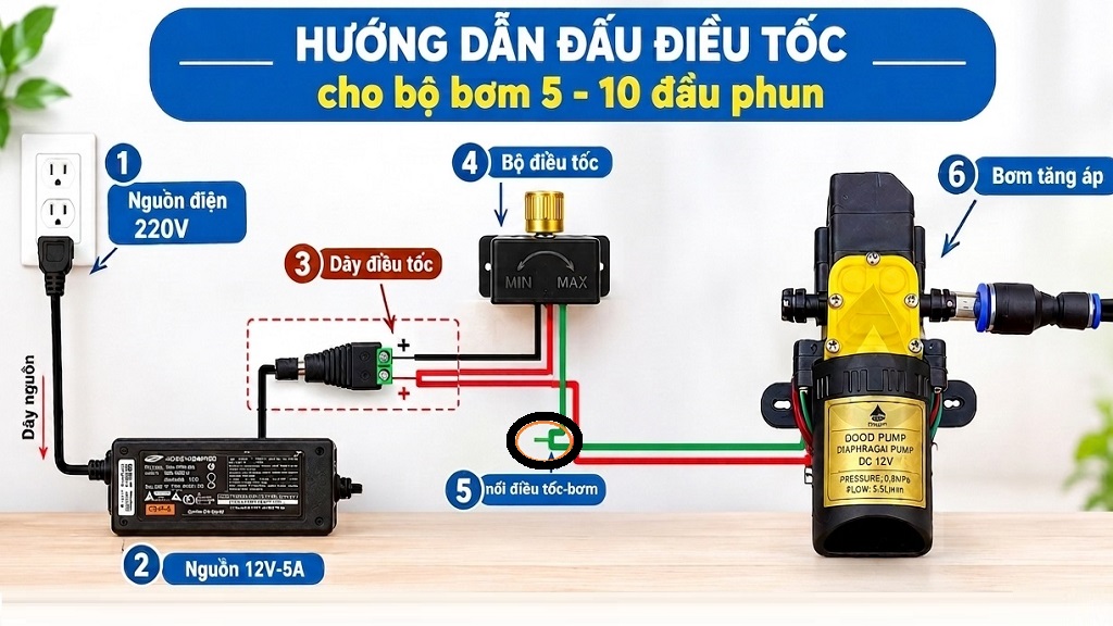 2huongdann.jpg