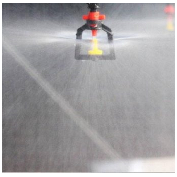 Béc phun sương xòe kèm van bù áp ren 21