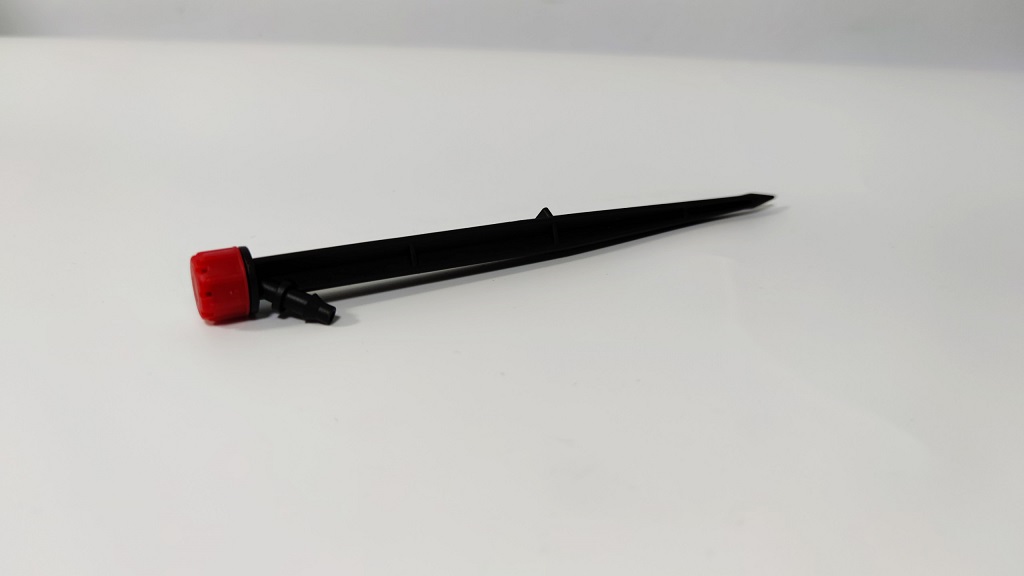 z240842424.jpg