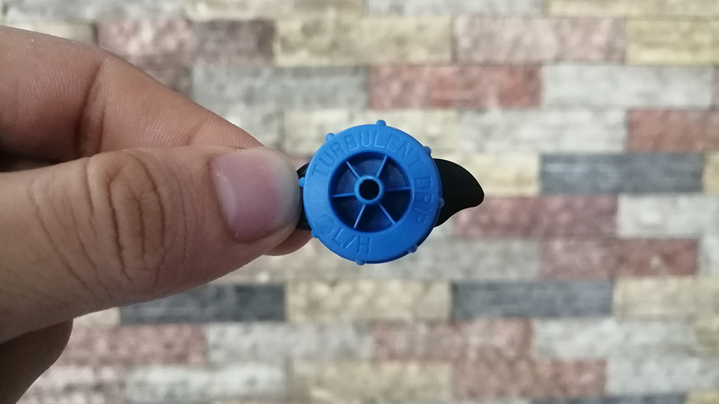 10245.jpg