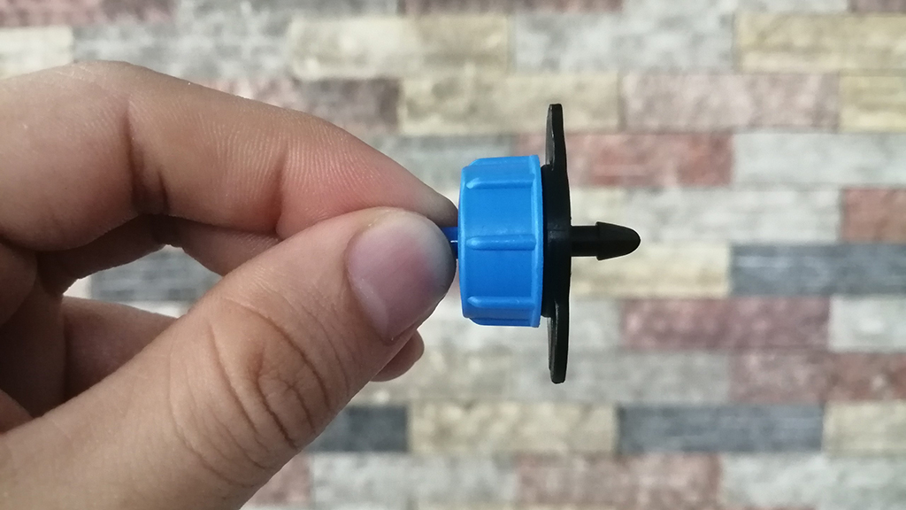10248.jpg