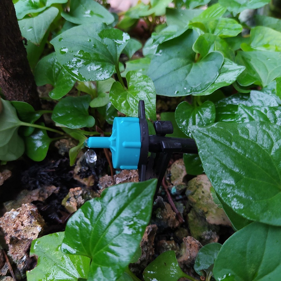 Trọn bộ tưới nhỏ giọt có điều áp hẹn giờ tự động 20 béc