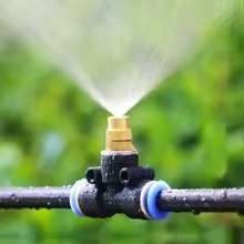 Béc phun sương tưới cây bằng đồng 8mm cắm thẳng khớp nối nhanh