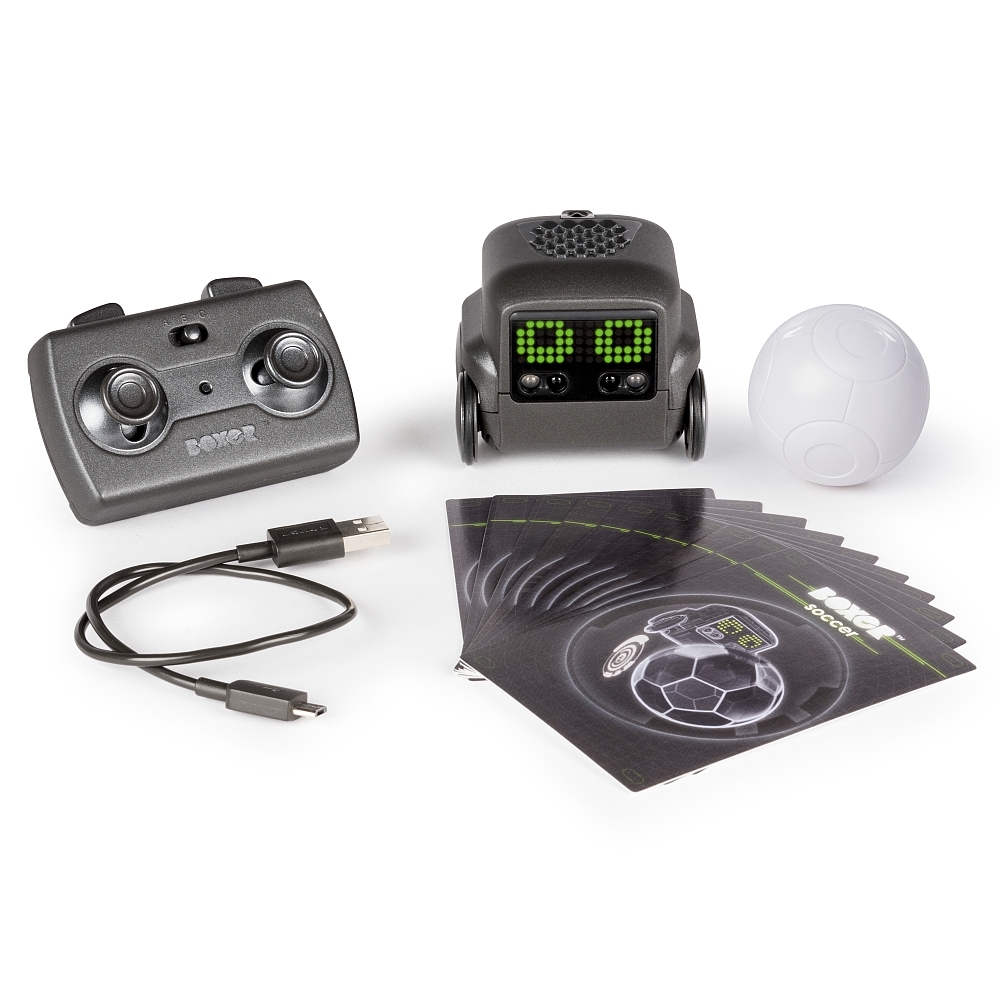 Robot Boxer trí tuệ thông minh