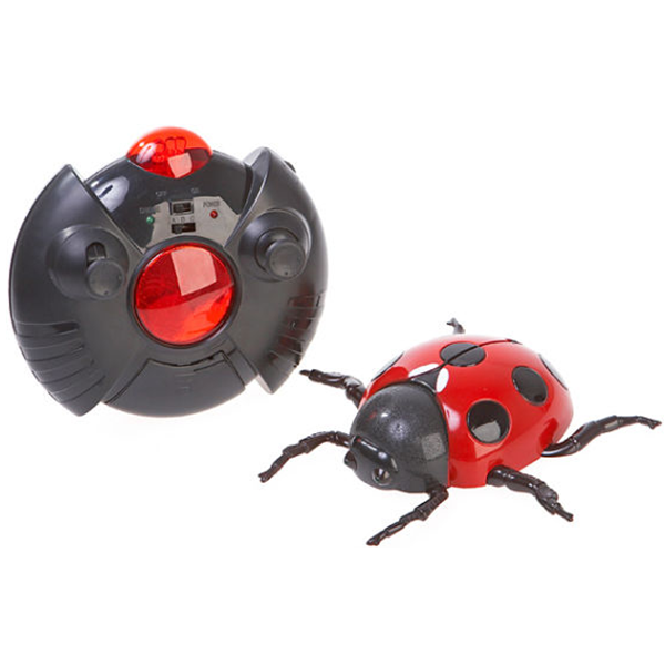 Trò Chơi Bọ Cánh Cứng Leo Tường Điều Khiển Từ Xa Bằng Remote